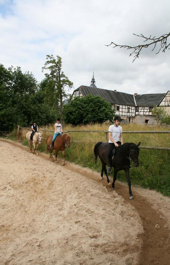 Pferd - Spass - Entspannung Staitz Buitenkant foto
