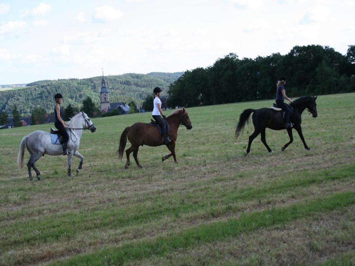 Pferd - Spass - Entspannung Staitz Buitenkant foto