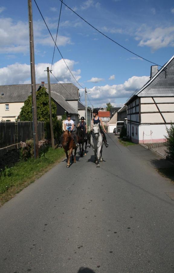Pferd - Spass - Entspannung Staitz Buitenkant foto
