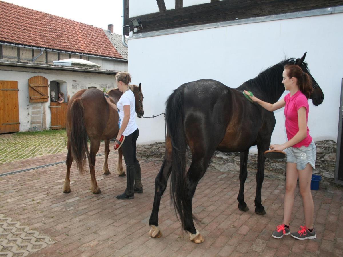 Pferd - Spass - Entspannung Staitz Buitenkant foto