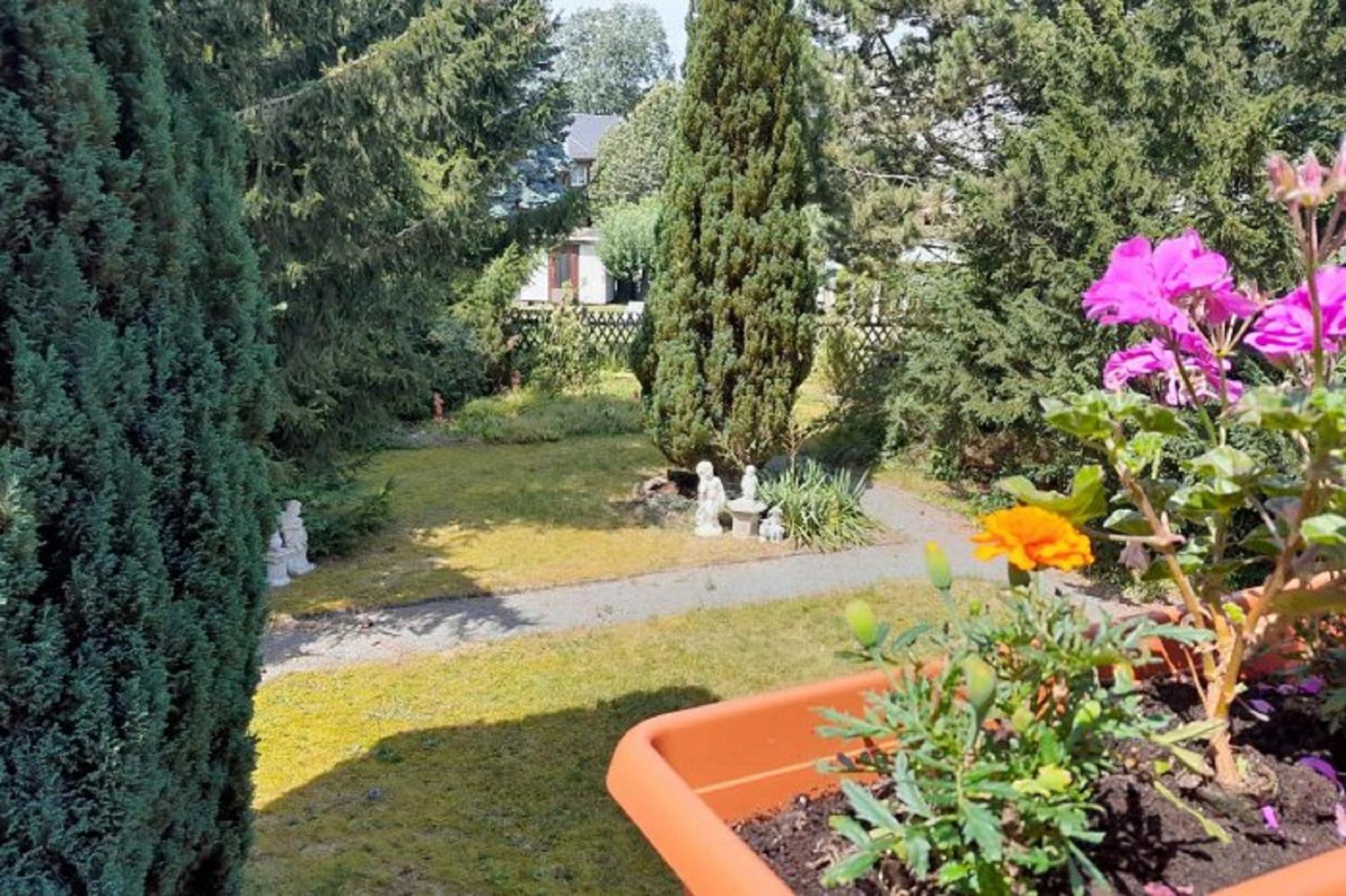 Pferd - Spass - Entspannung Staitz Buitenkant foto